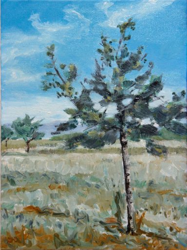 Baum, Öl auf Malkarton, 24 x 18 cm